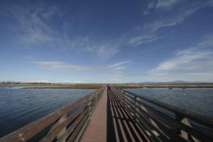Bolca Chica   Wood Bridge